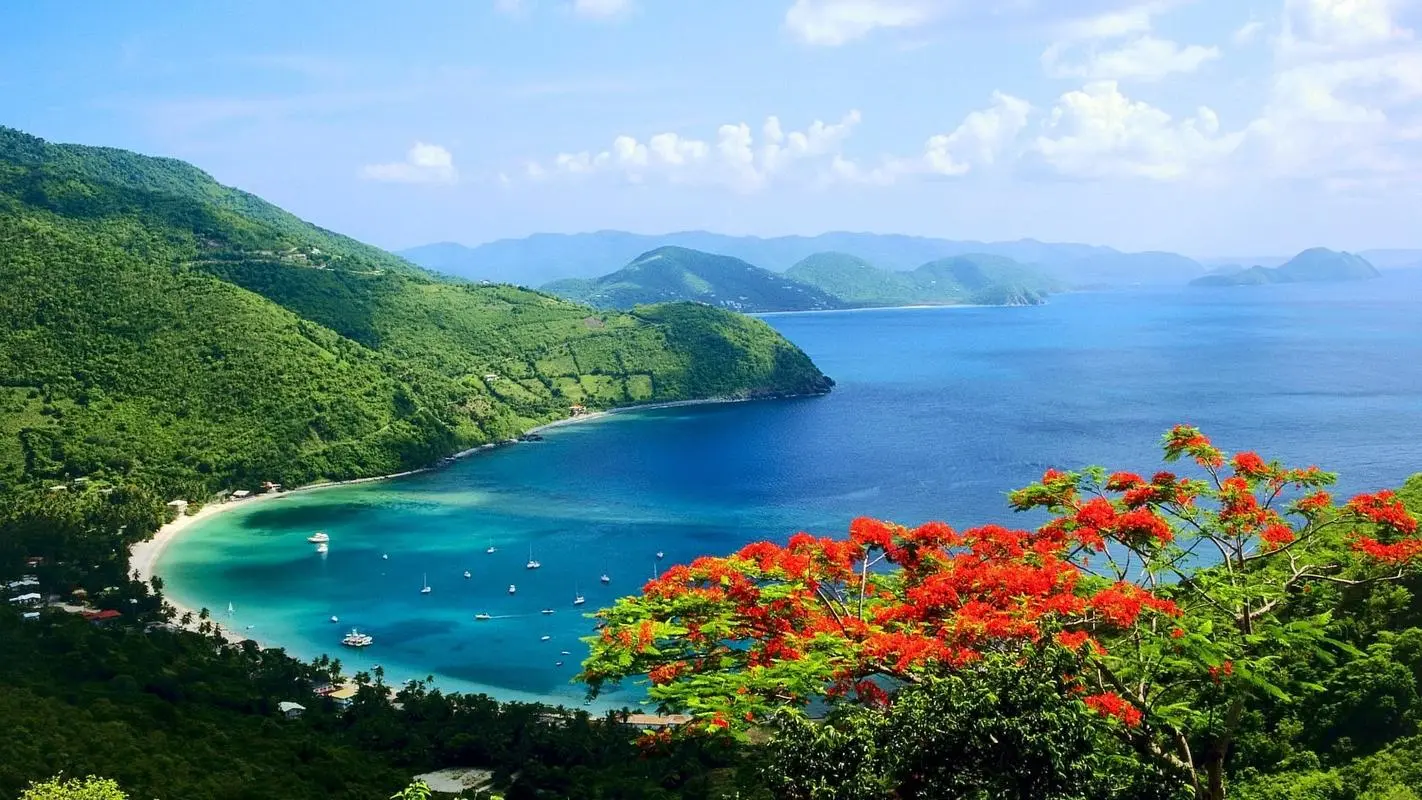新型高性能